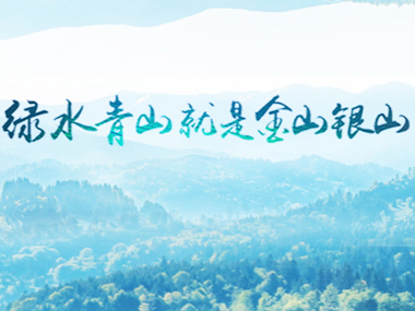 四川洪雅：“林上+林下”打造“天府森林粮库”